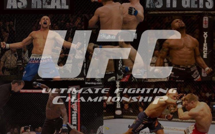 ufc, Mma, Fighting, Martial, Arts, Wrestling, Boxing HD Wallpaper Desktop Background
