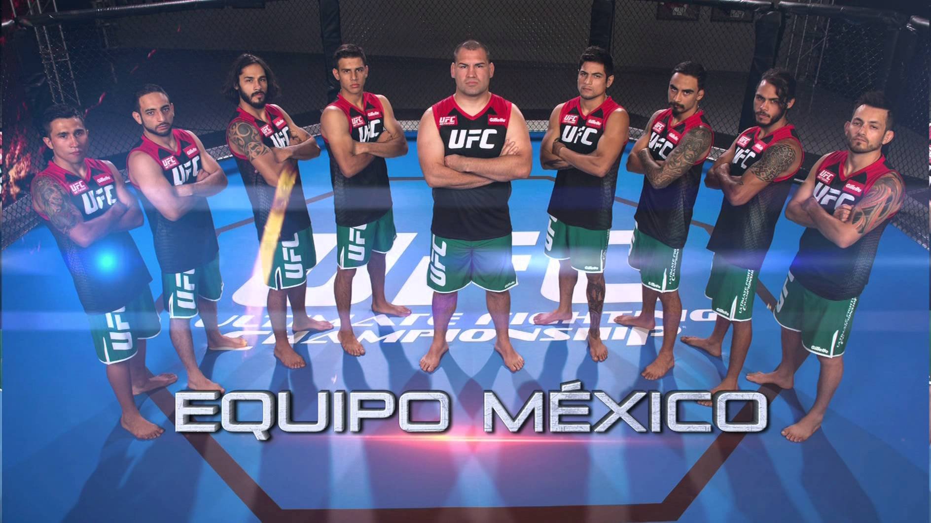 ufc, Mma, Fighting, Martial, Arts, Wrestling, Boxing Wallpaper