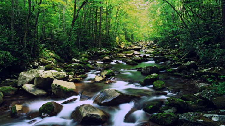 forest, Rocks, Moss, Rivers, National, Park, North, Carolina, Slow, Shutter, Speed HD Wallpaper Desktop Background