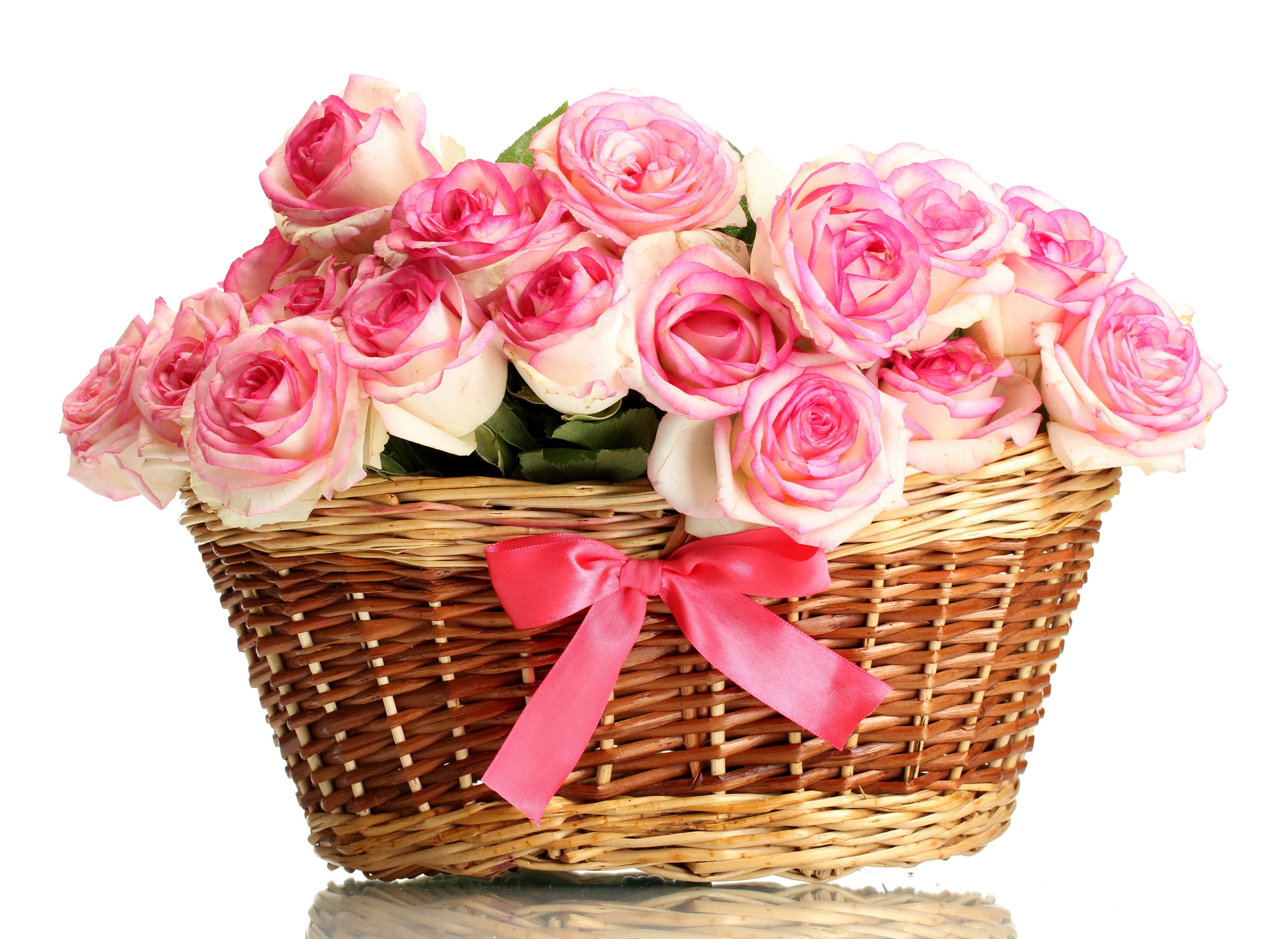 nature, Flower, Beautiful, Flowers, Plant, Colorful, Petals Wallpaper