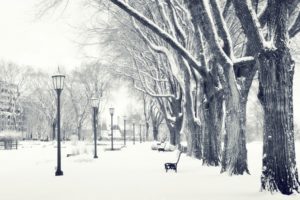 winter, Snow, Streets
