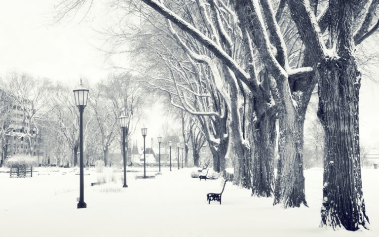 winter, Snow, Streets HD Wallpaper Desktop Background