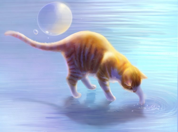 cat, Animal, Cats, Beautiful, Lovely, Cute, Animals HD Wallpaper Desktop Background