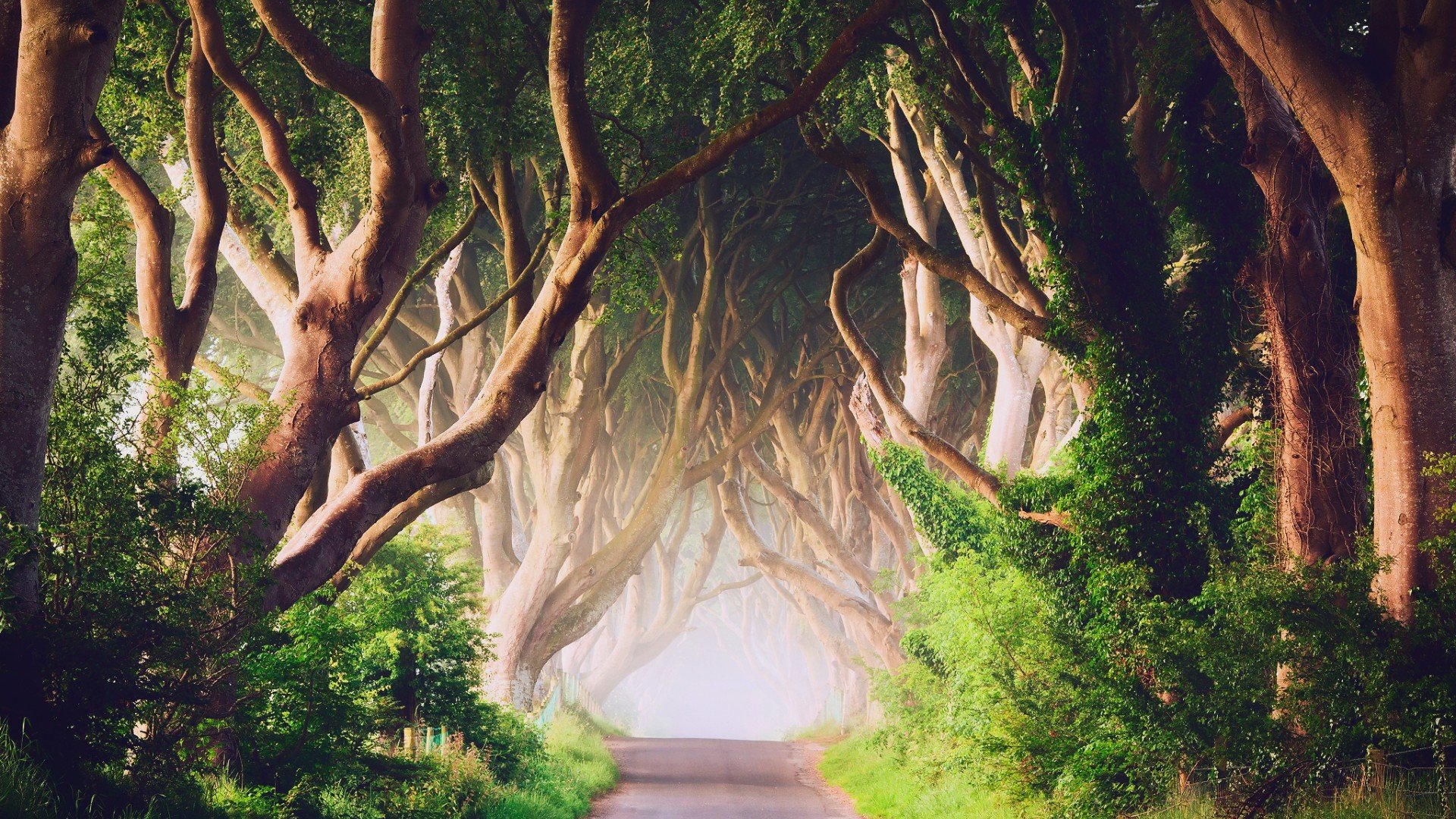 northern, Ireland, Road Wallpaper