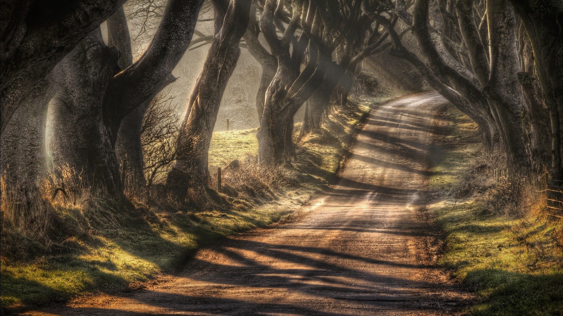 northern, Ireland, Road Wallpaper