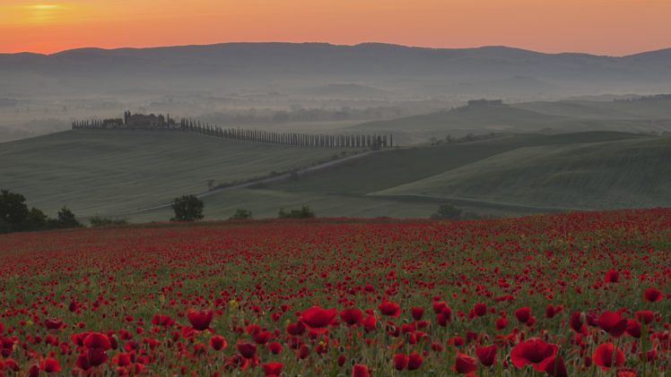 sunrise, Nature, Italy, Poppy, Crete, Tuscany HD Wallpaper Desktop Background
