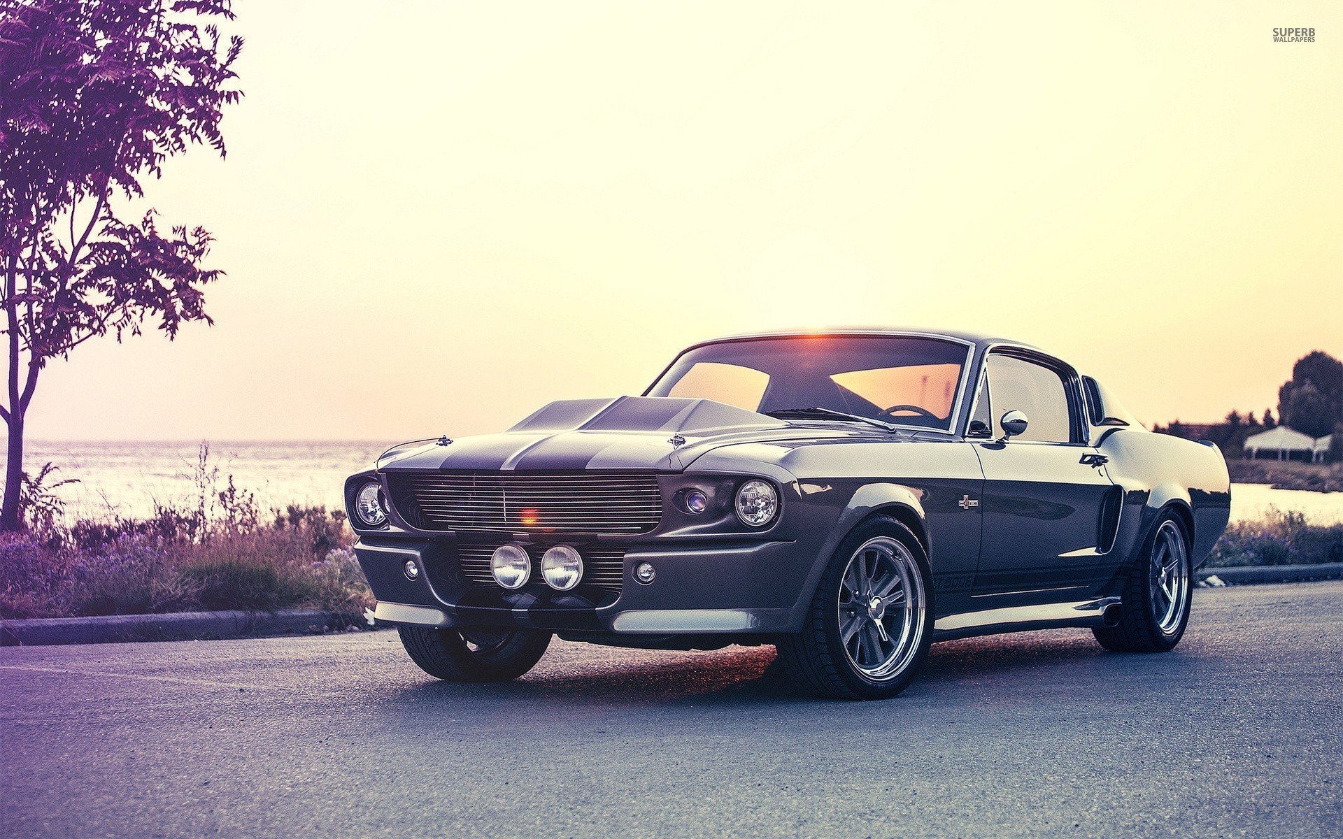 1967 ford mustang shelby cobra gt500 eleanor 28978 1920x1200 Wallpaper