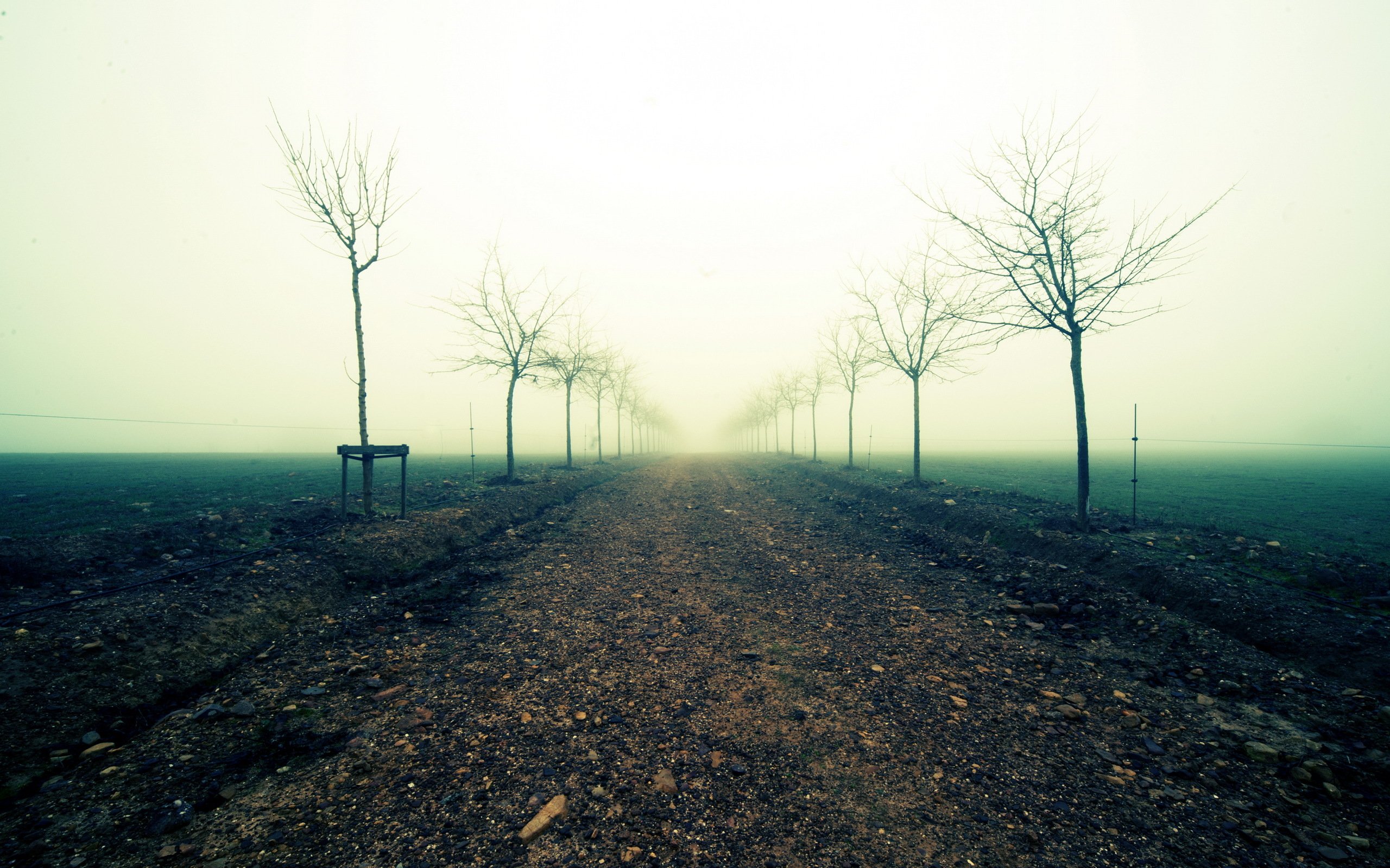 landscape, Nature, Beautiful, Area, Wild, Sky, Landscapes Wallpaper