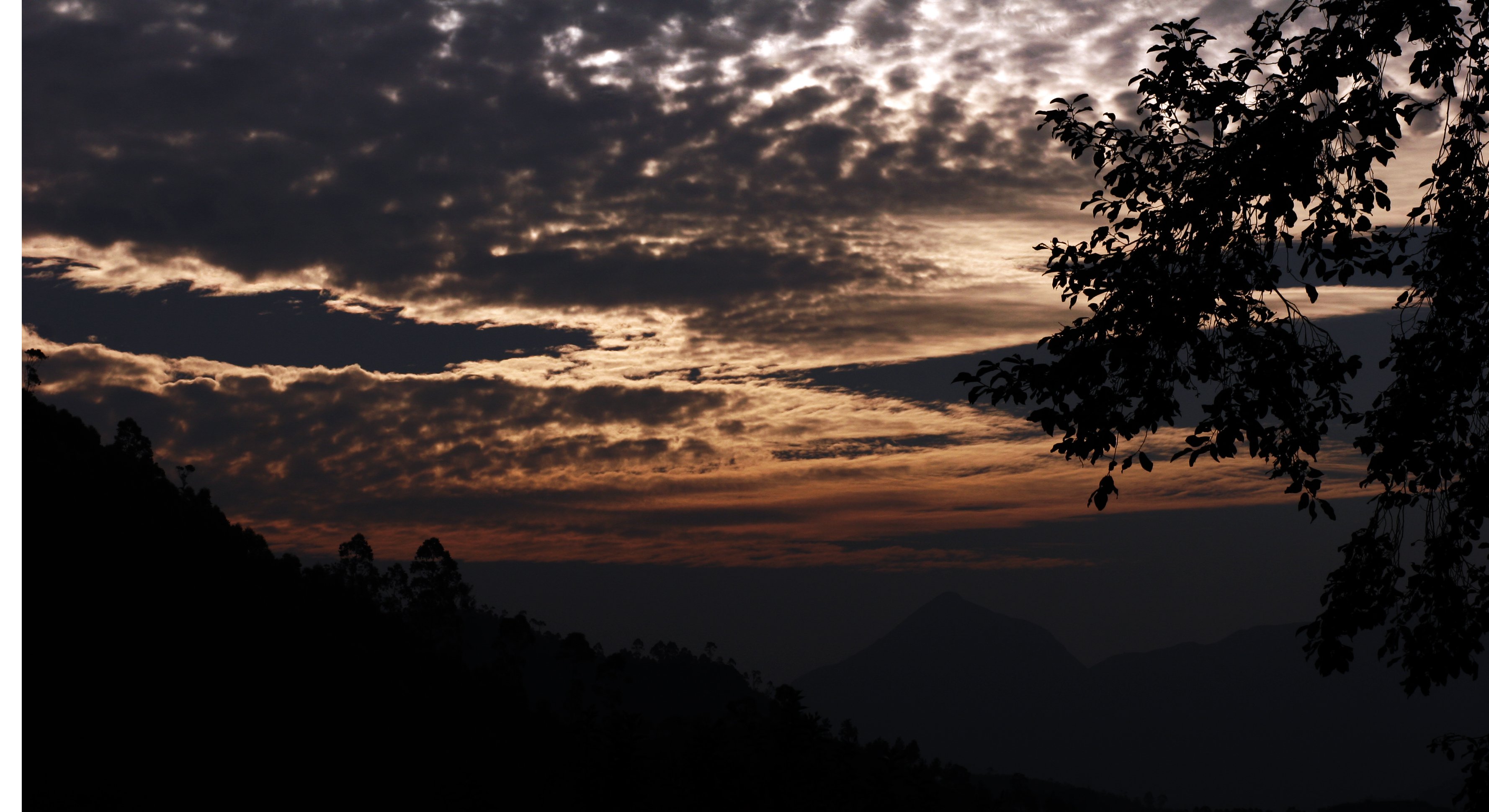 munnar Wallpaper