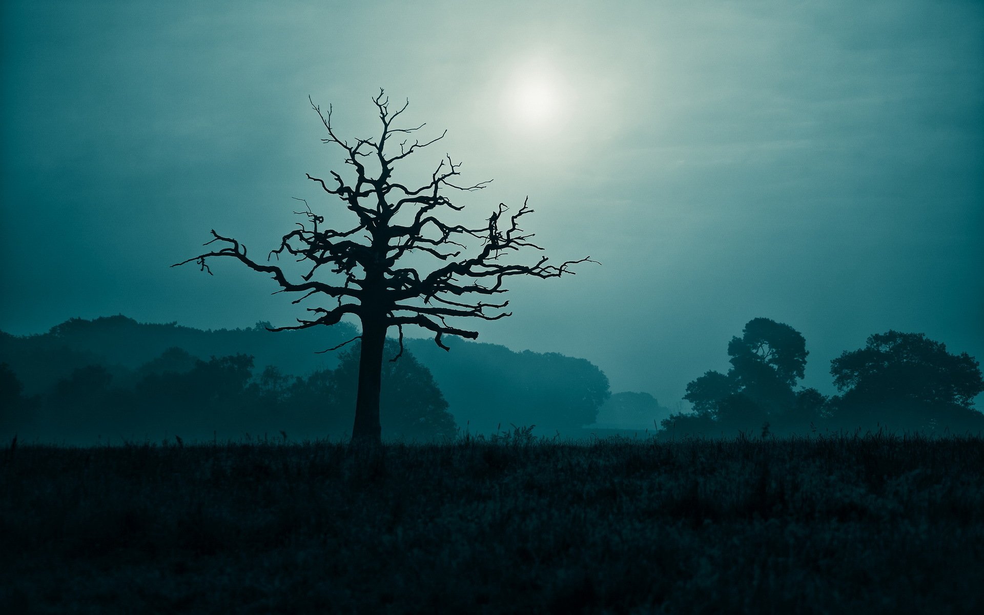 landscape, Nature, Beautiful, Area, Wild, Sky Wallpaper