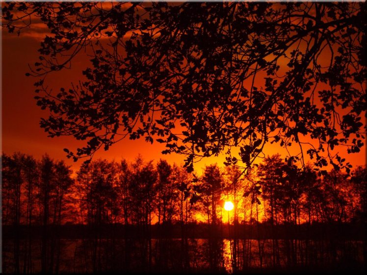 sunset, Tree, Landscape, Forest HD Wallpaper Desktop Background