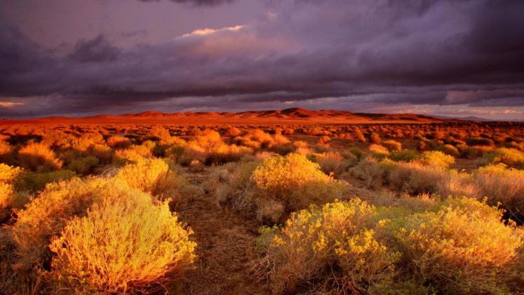 valley, California, Antelope HD Wallpaper Desktop Background