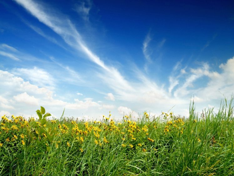 green, Blue, Clouds, Nature, Flowers, Grass, Fields, Meadow, Meadows, Skyscapes HD Wallpaper Desktop Background