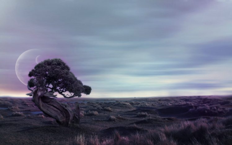 landscapes, Outer, Space, Trees HD Wallpaper Desktop Background
