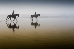 horses, Riders, Beach, Fog, Morning