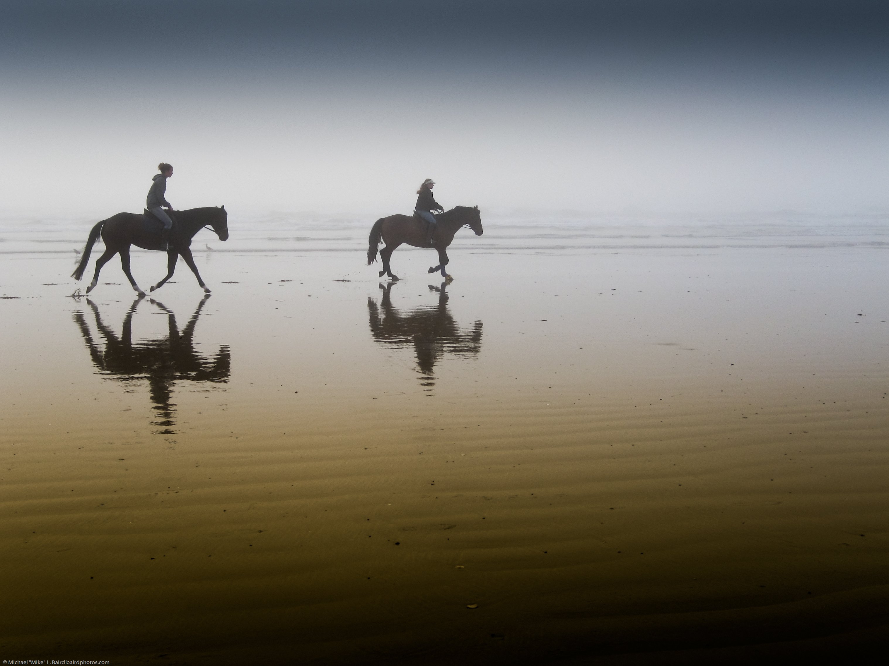 horses, Riders, Beach, Fog, Morning Wallpaper