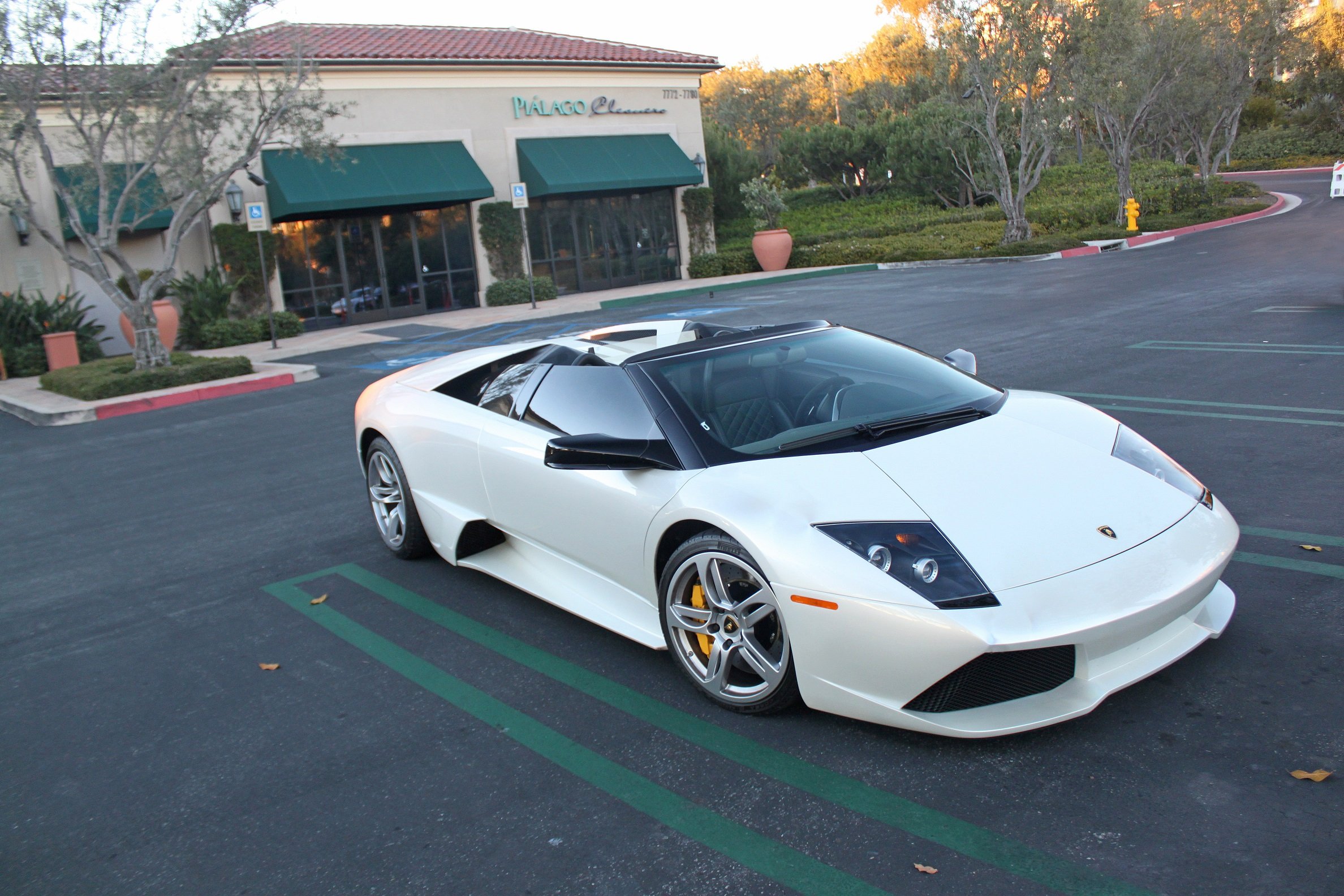 lamborghini, Murcielago, Roadster, Cars, Coupe, Supercars, White, Blanc Wallpaper