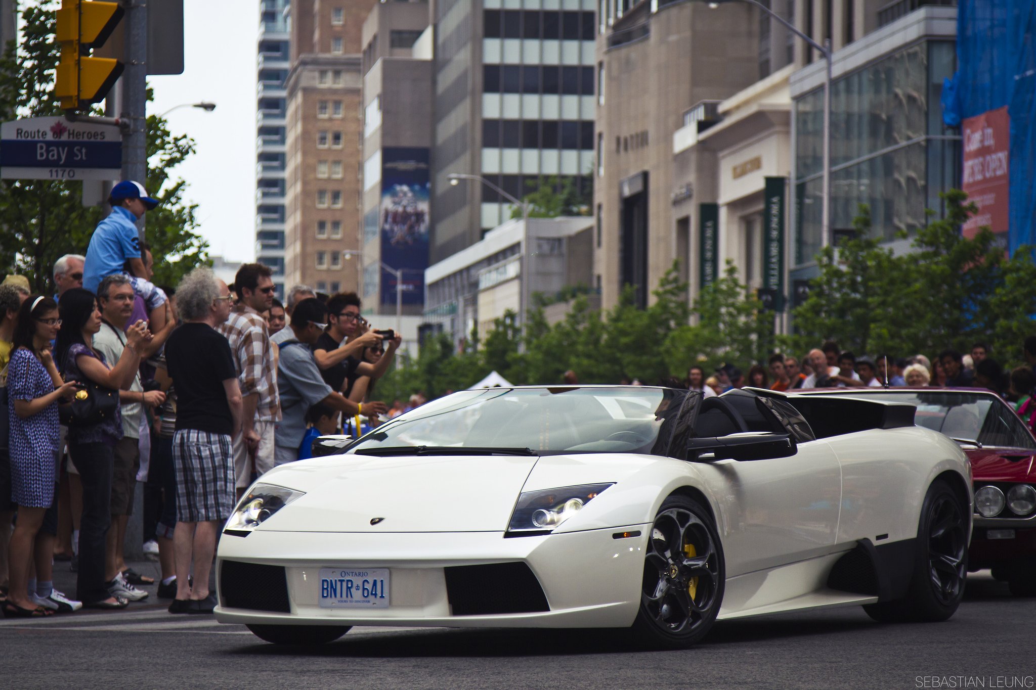 lamborghini, Murcielago, Roadster, Cars, Coupe, Supercars, White, Blanc Wallpaper