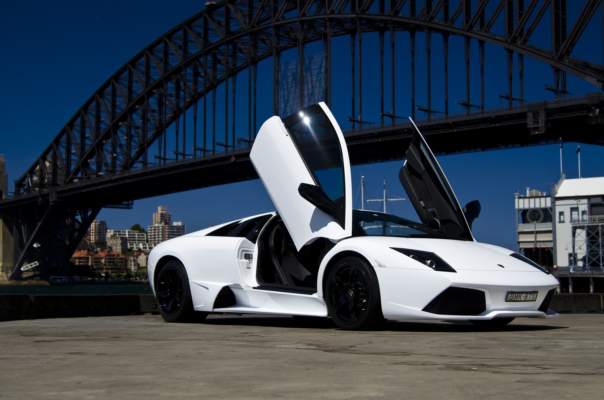 lamborghini, Murcielago, Cars, Coupe, Supercars, Italy, Blanc, White Wallpaper