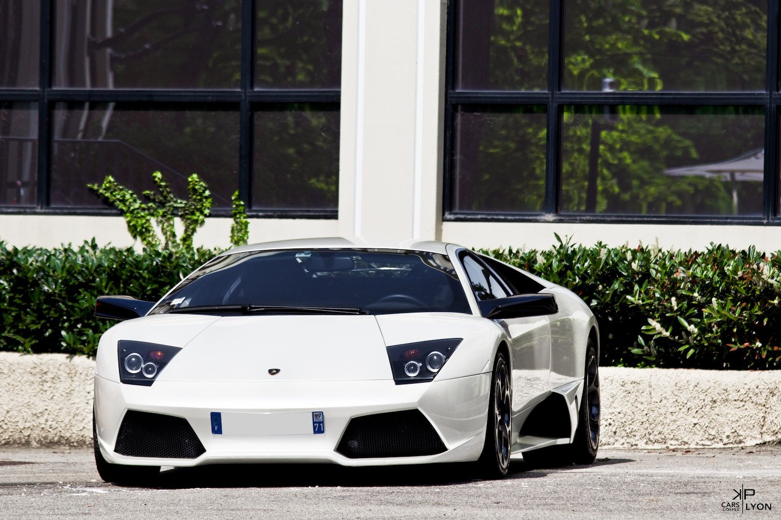 lamborghini, Murcielago, Cars, Coupe, Supercars, Italy, Blanc, White Wallpaper