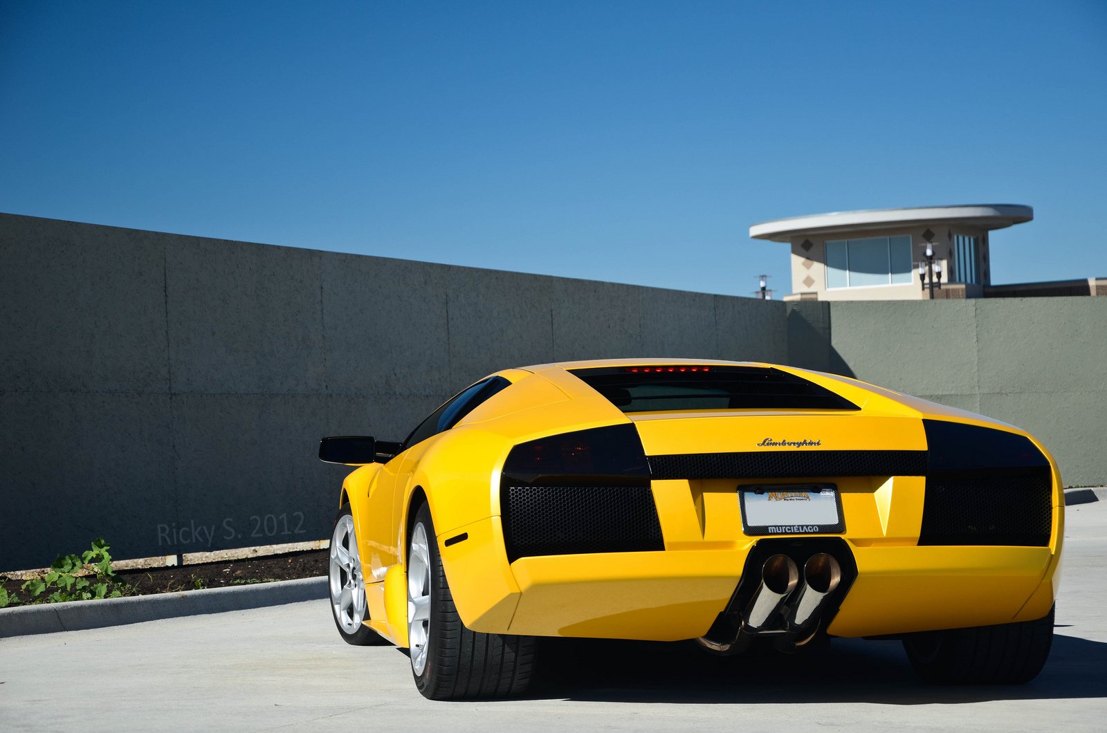 lamborghini, Murcielago, Cars, Coupe, Supercars, Italy, Jaune, Yellow Wallpaper