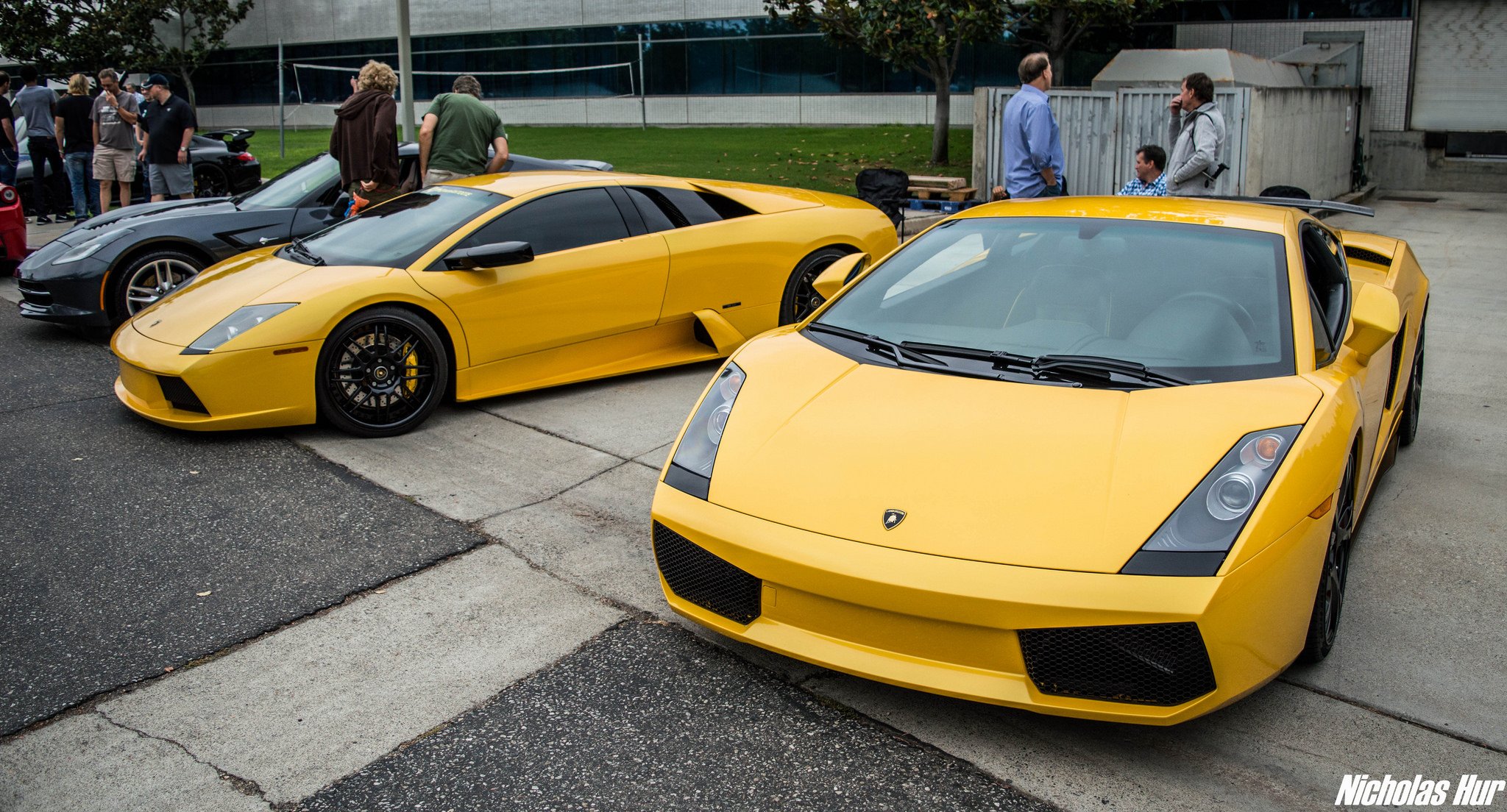 lamborghini, Murcielago, Cars, Coupe, Supercars, Italy, Jaune, Yellow Wallpaper