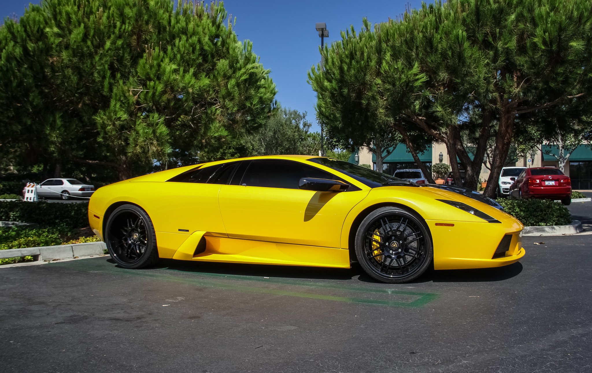 lamborghini, Murcielago, Cars, Coupe, Supercars, Italy, Jaune, Yellow Wallpaper