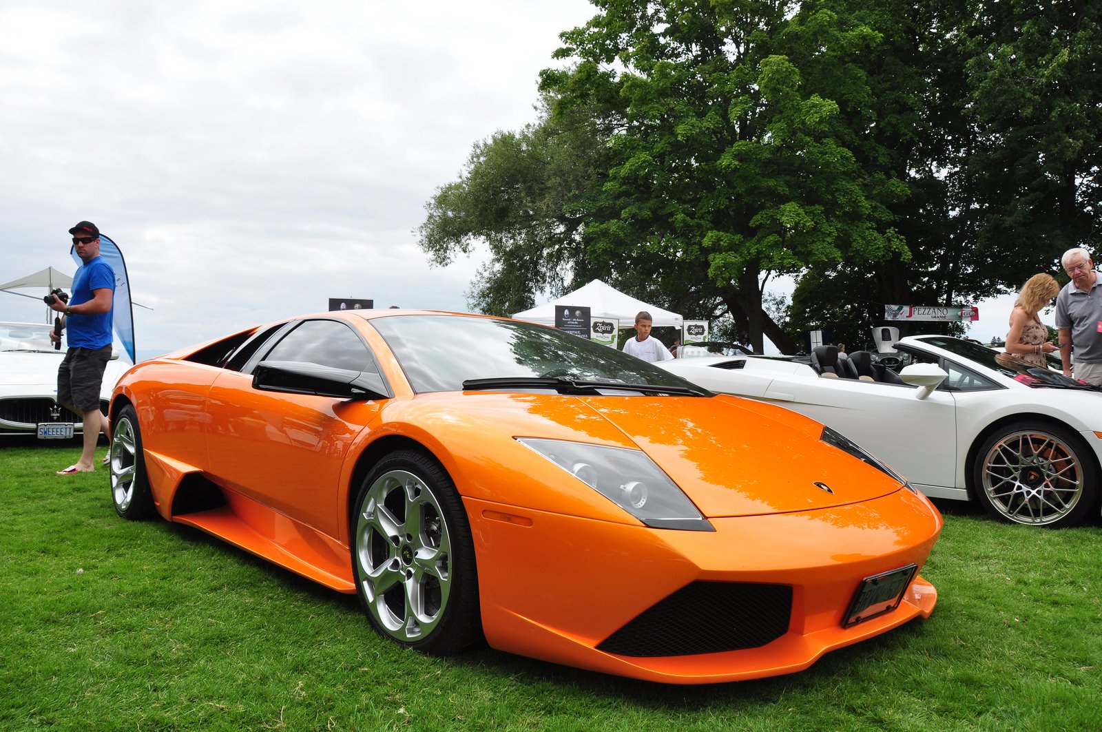 lamborghini, Murcielago, Cars, Coupe, Supercars, Italy, Orange Wallpaper