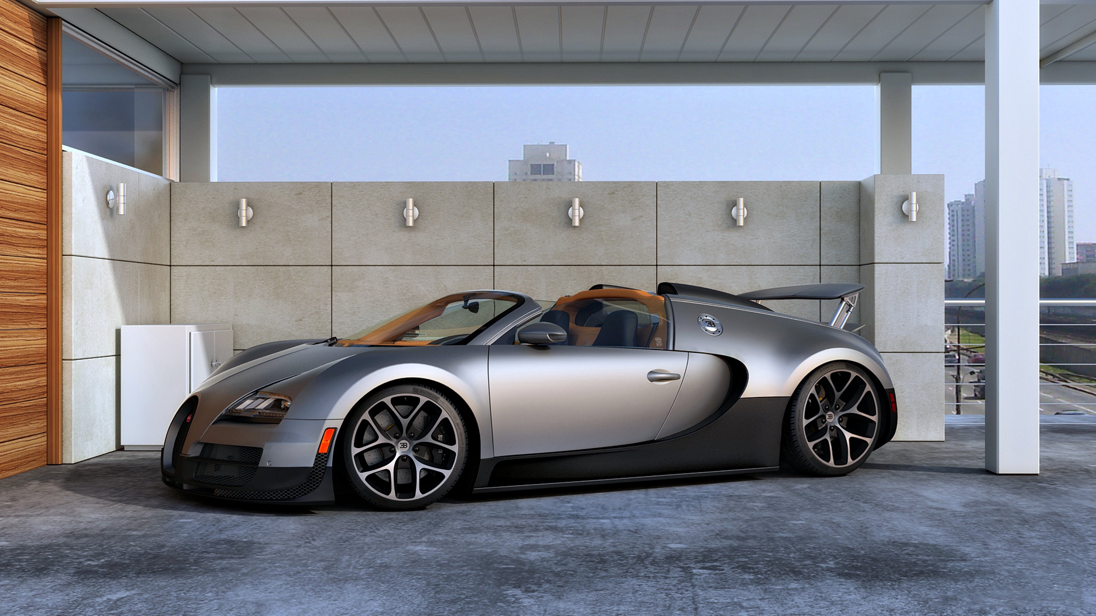 cars, Bugatti, Veyron, Motors, Speed, Model Wallpaper