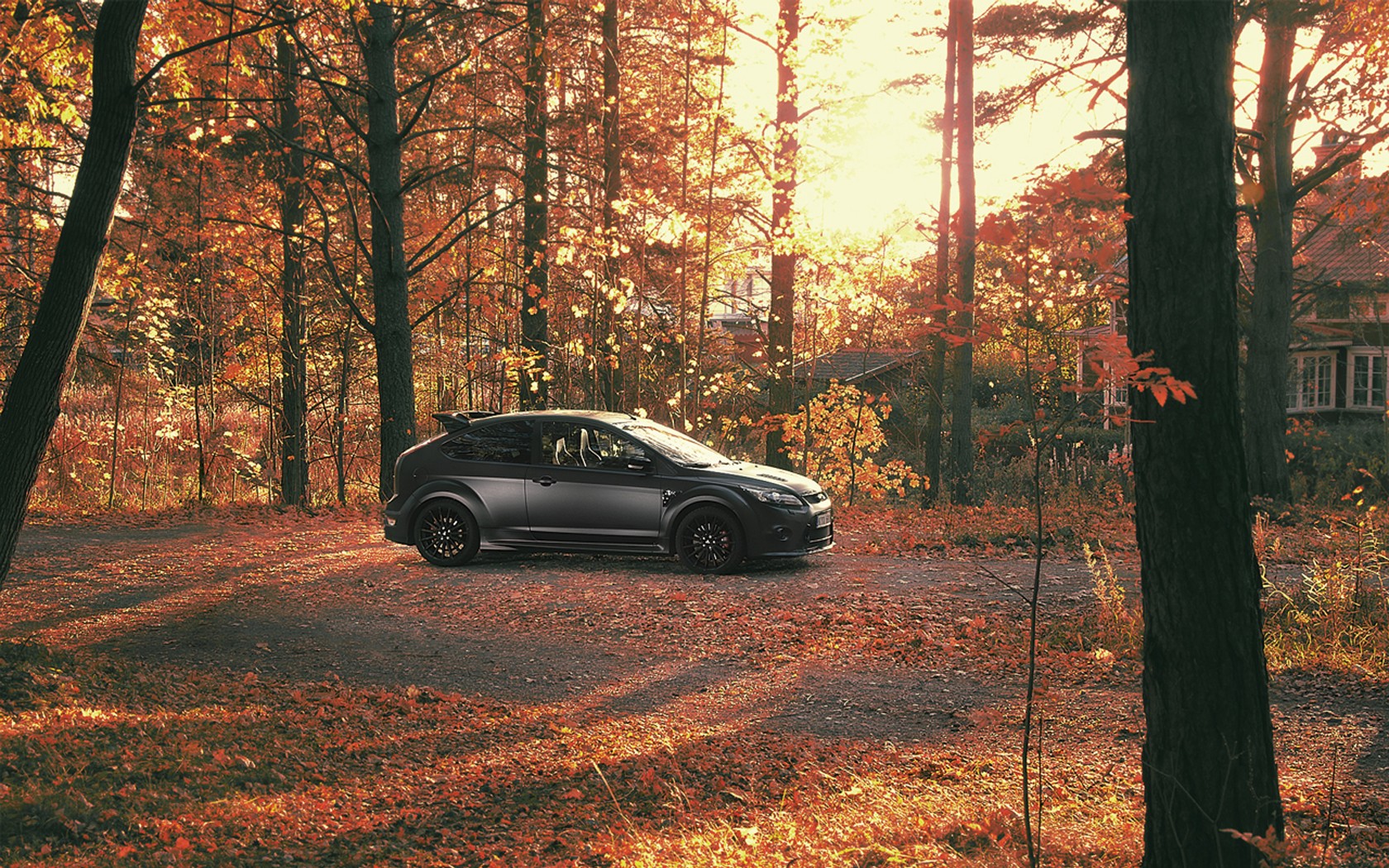 autumn,  season , Cars, Ford, Ford, Focus, St Wallpaper