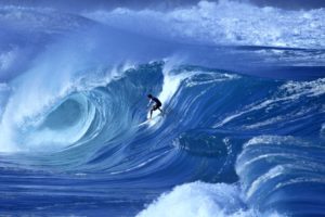 wave, Surfing, Sea, Sports, Man