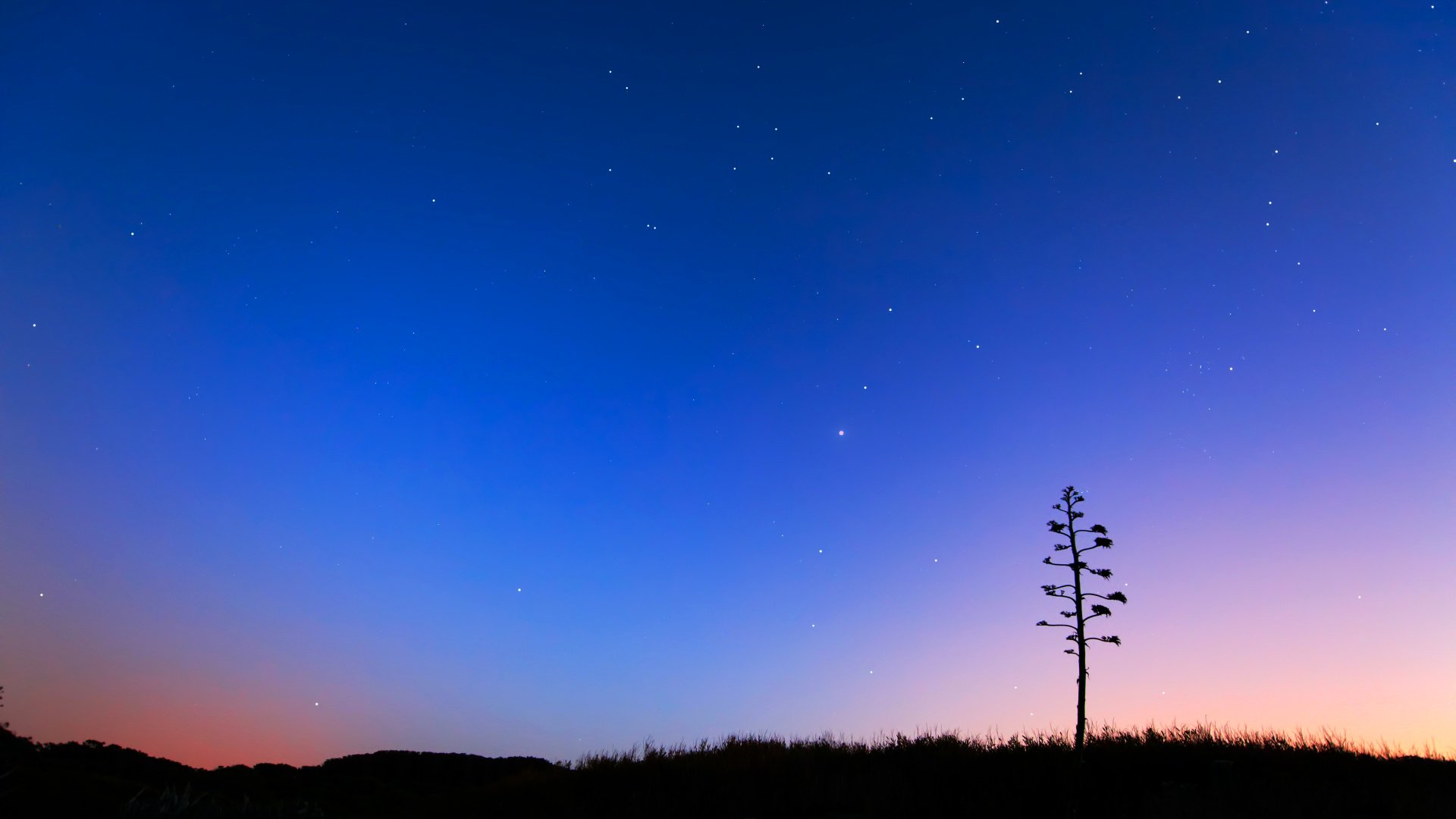 landscape, Nature, Beautiful, Area, Wild, Sky, Landscapes Wallpaper