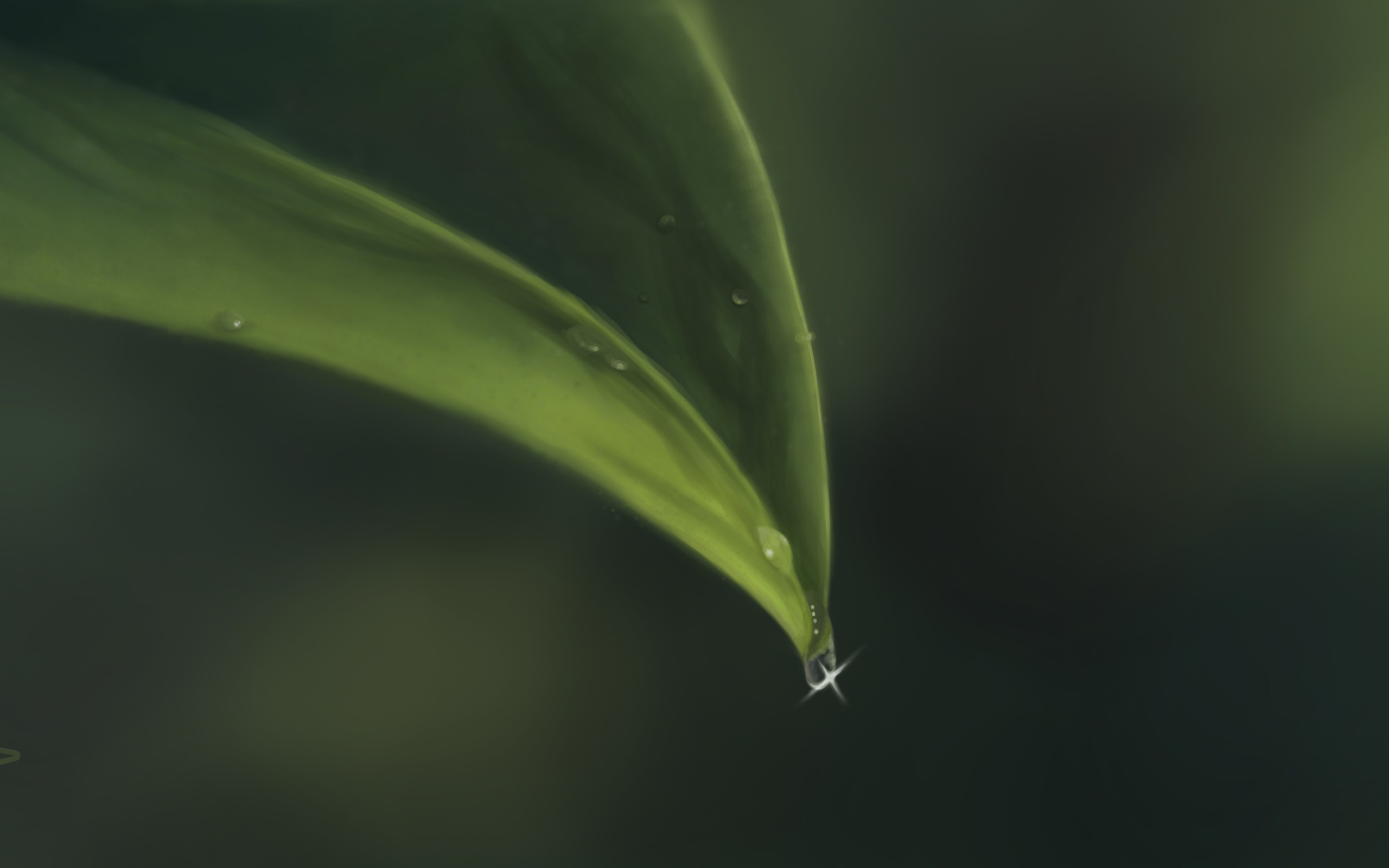 minimalistic Wallpaper