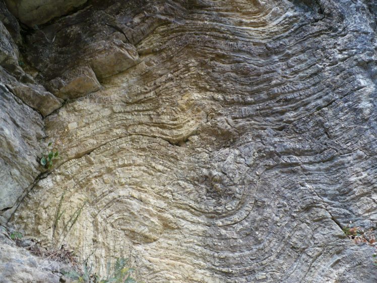 bulgaria, Medven HD Wallpaper Desktop Background