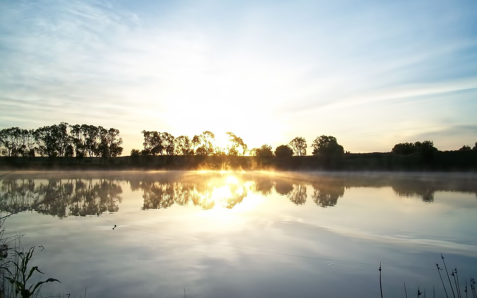 landscape, Nature, Beautiful, Forest, Area, Wild, Sky, Landscapes Wallpaper