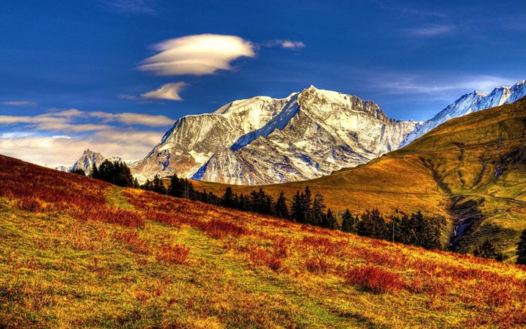 landscape, Nature, Beautiful, Forest, Area, Wild, Sky, Landscapes HD Wallpaper Desktop Background