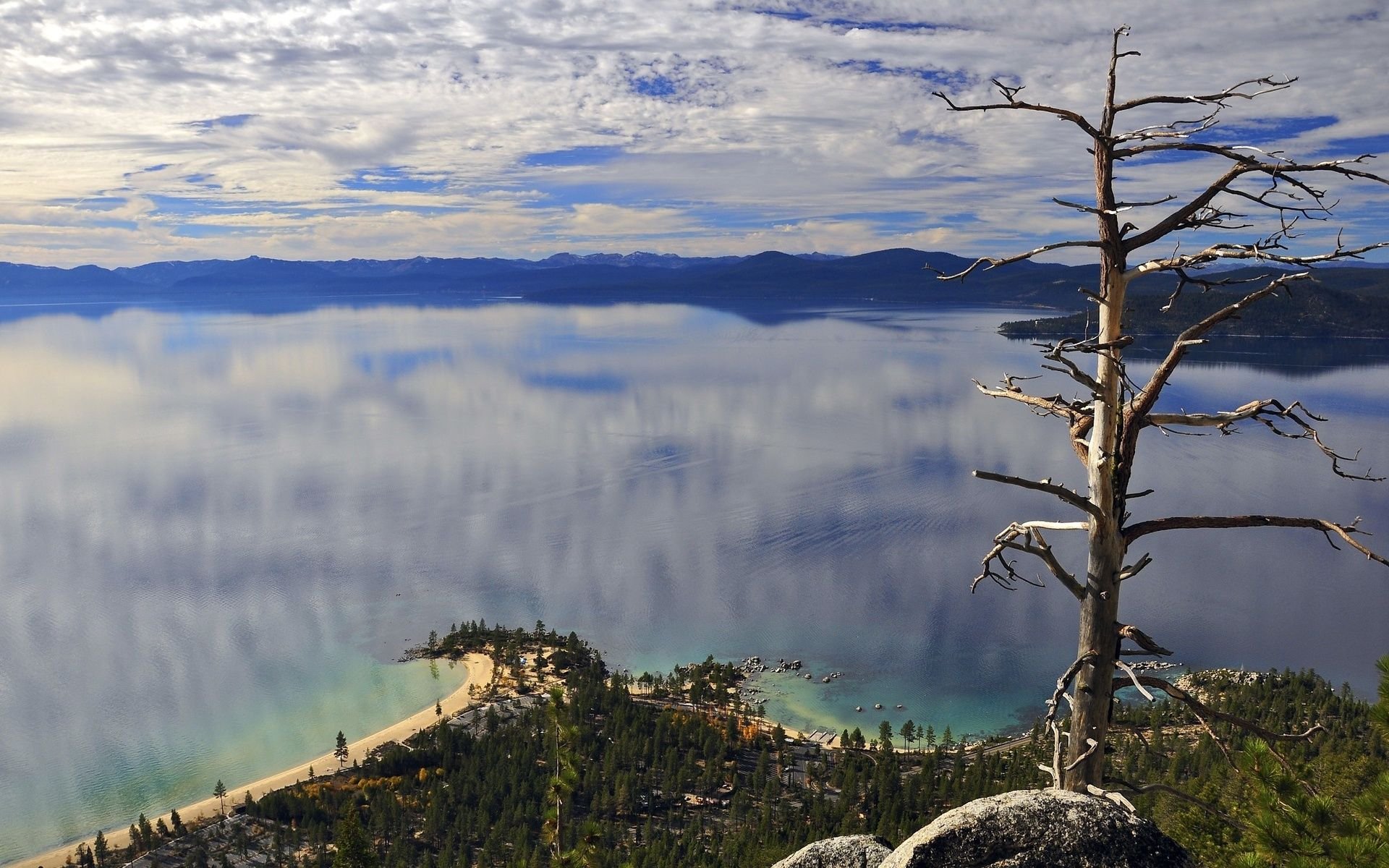 landscape, Nature, Beautiful, Forest, Area, Wild, Sky, Landscapes Wallpaper
