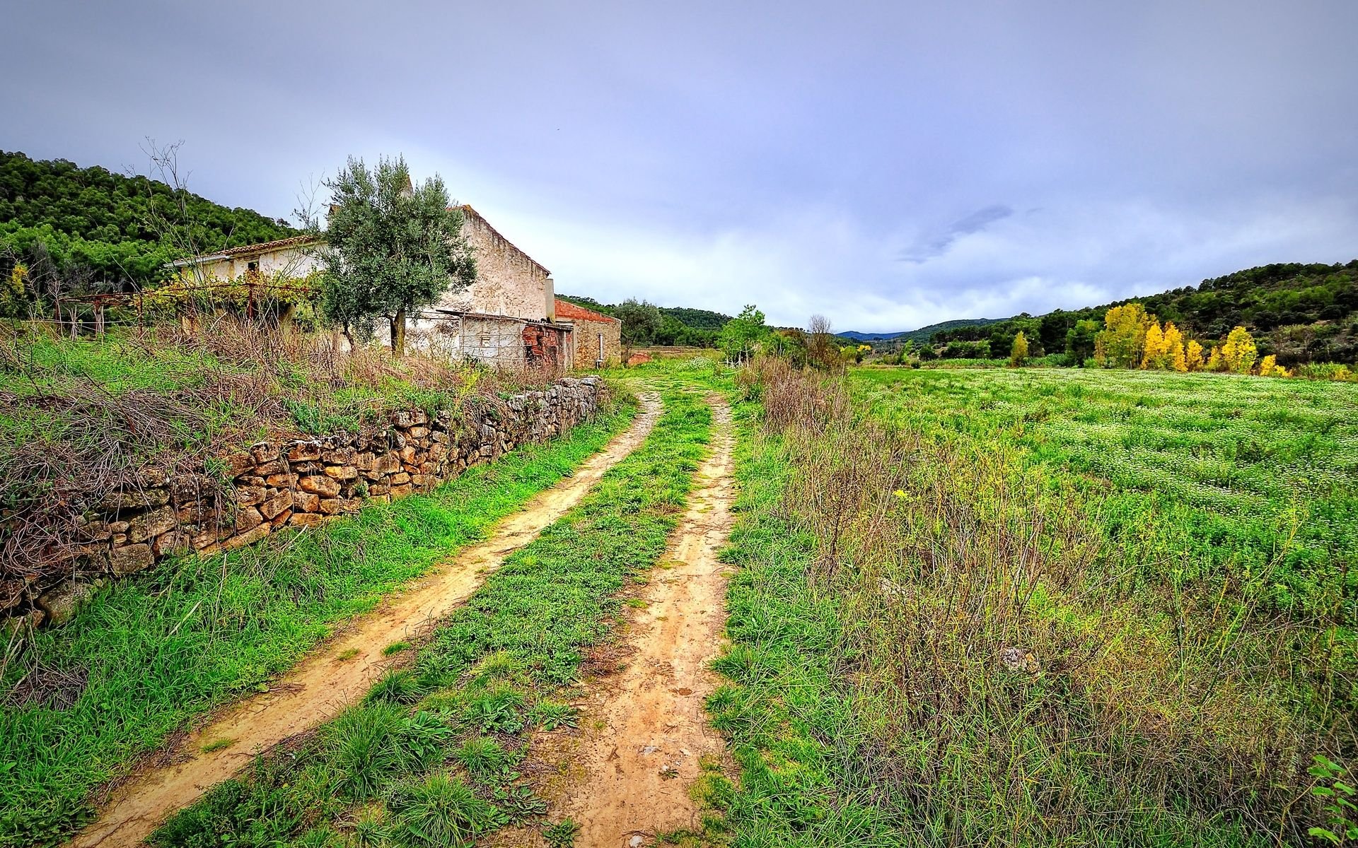 landscape, Nature, Beautiful, Forest, Area, Wild, Sky, Landscapes ...