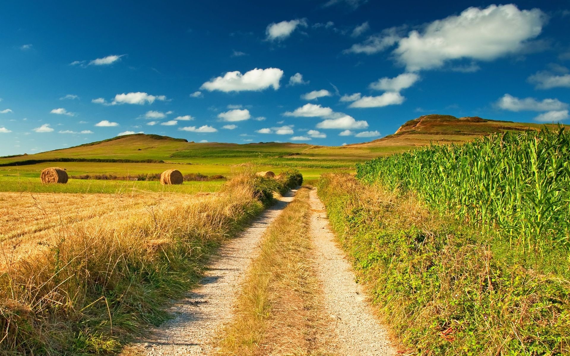 landscape, Nature, Beautiful, Forest, Area, Wild, Sky, Landscapes Wallpaper
