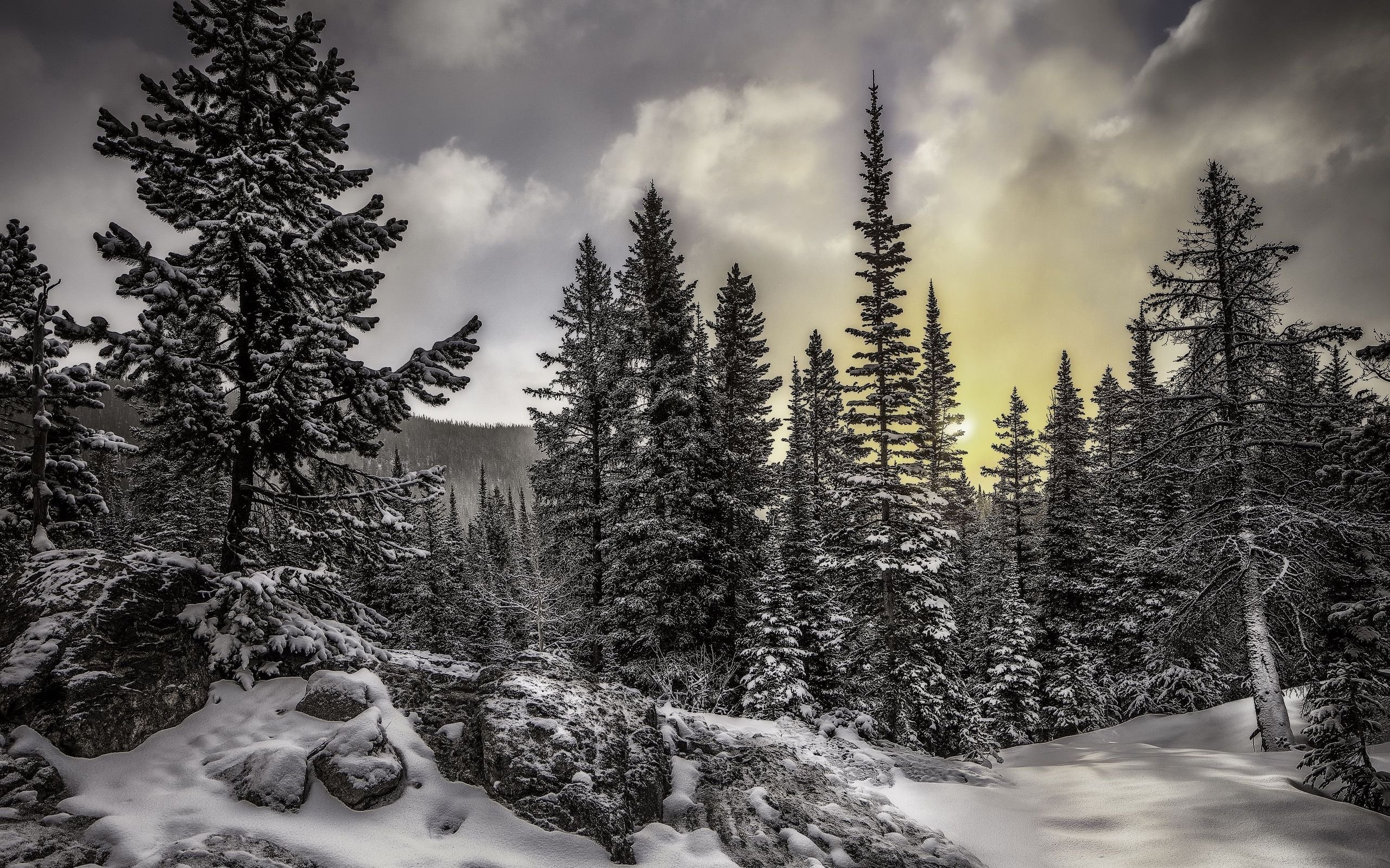 landscape, Nature, Beautiful, Forest, Area, Wild, Sky, Landscapes Wallpaper