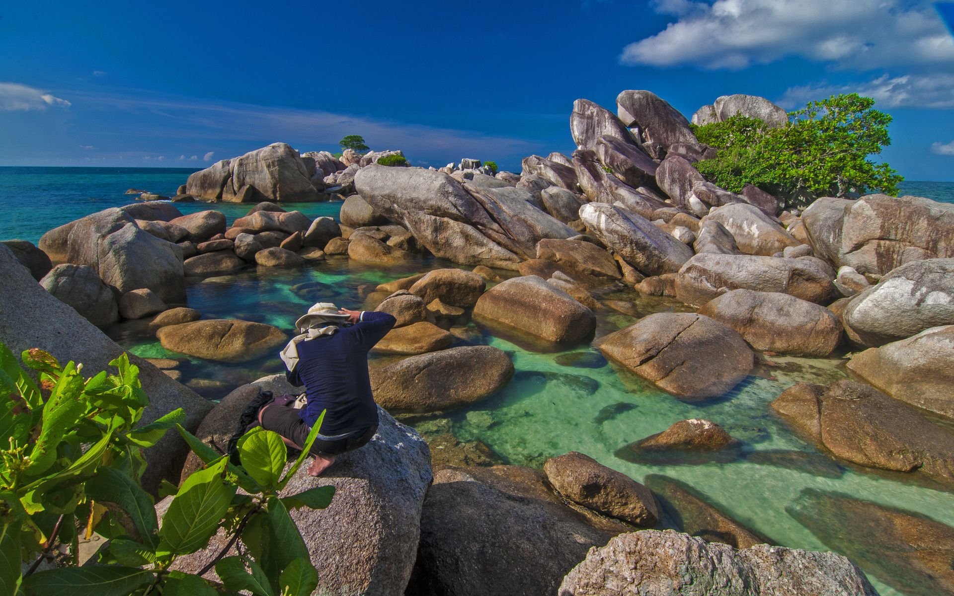 landscape, Nature, Beautiful, Forest, Area, Wild, Sky, Landscapes Wallpaper