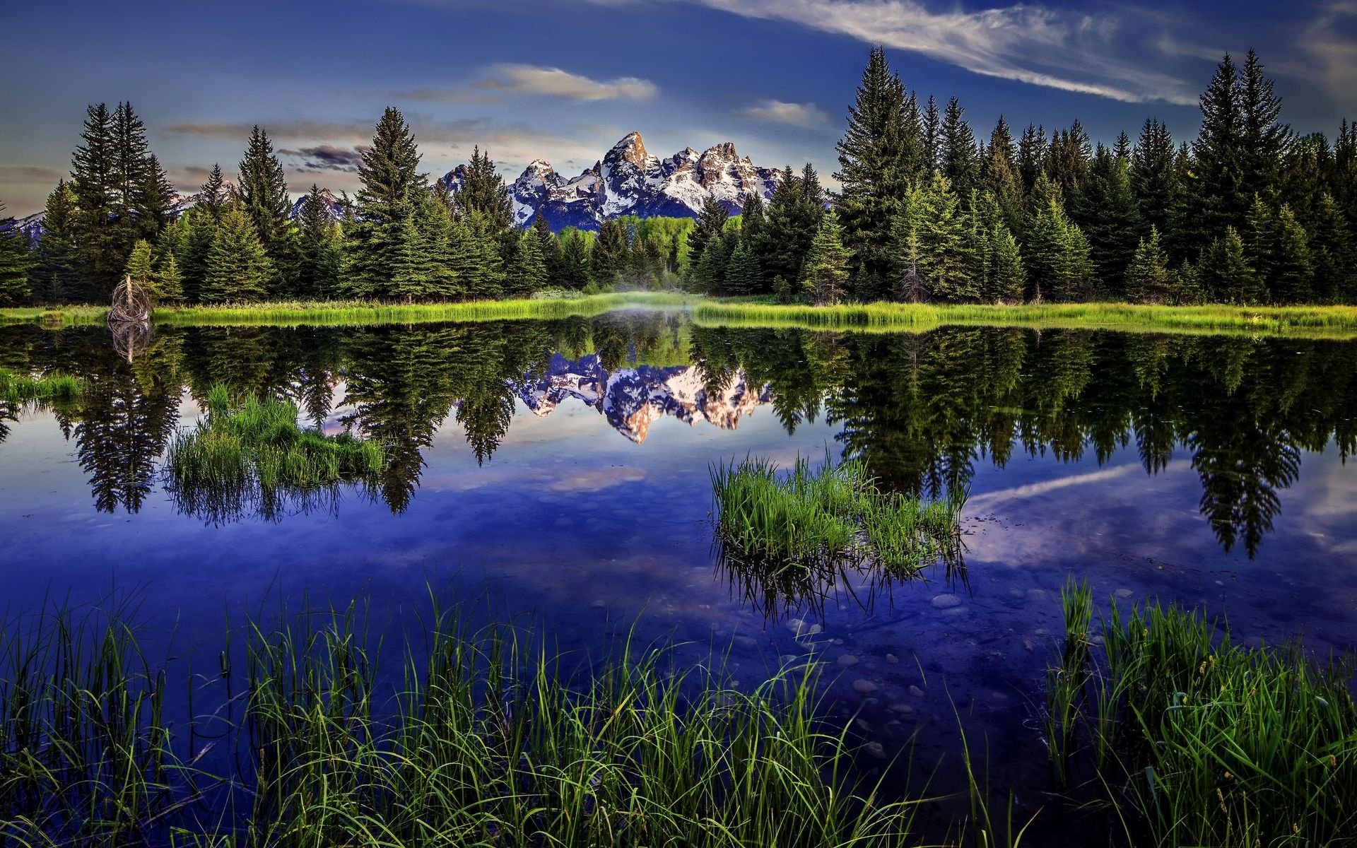 landscape, Nature, Beautiful, Forest, Area, Wild, Sky, Landscapes Wallpaper