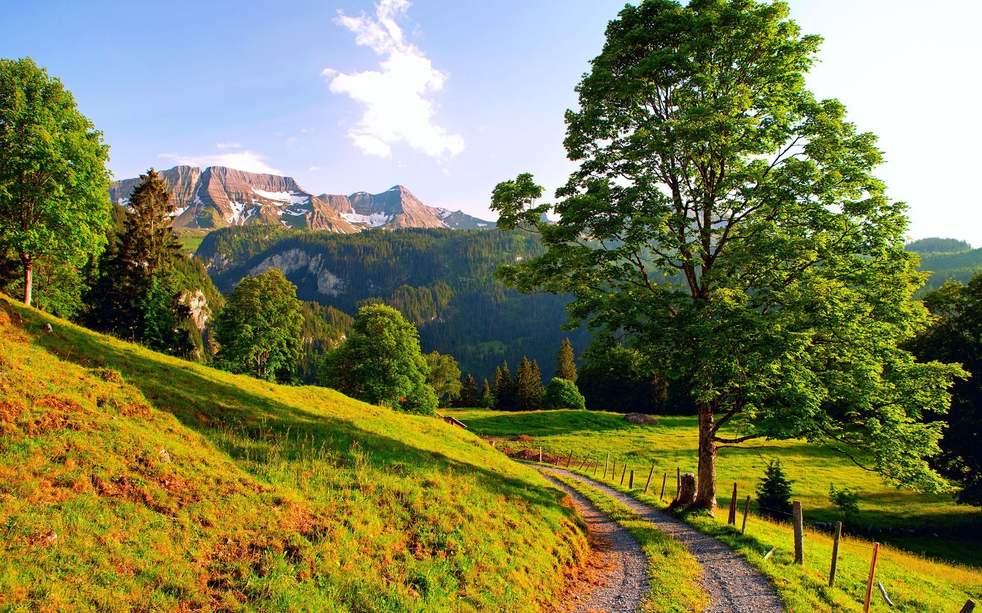 Landscape Nature Beautiful Forest Area Wild Sky Landscapes Landscape Nature Beautiful Forest Area Wild Sky Landscapes