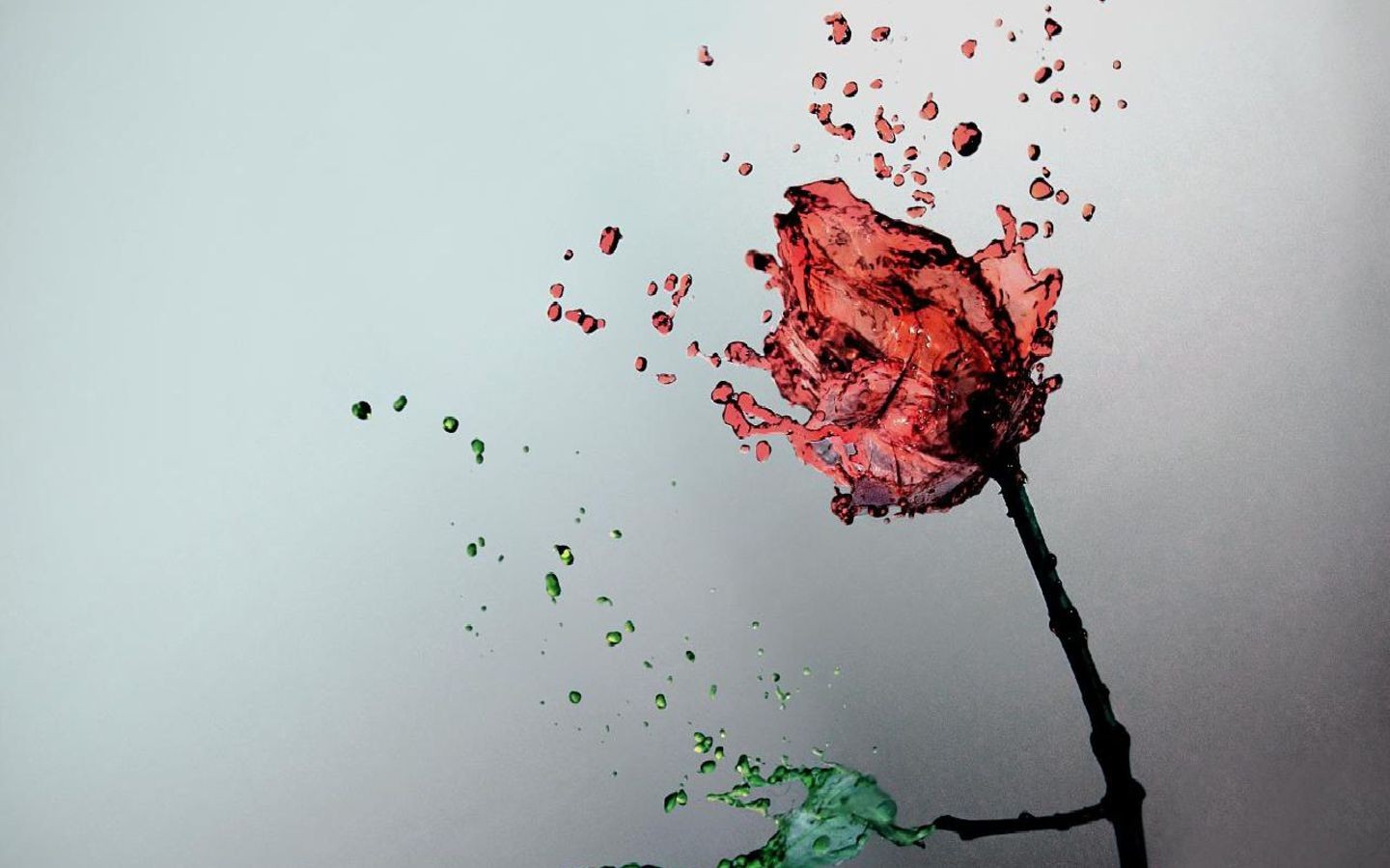 red, Rosa, Roses Wallpaper