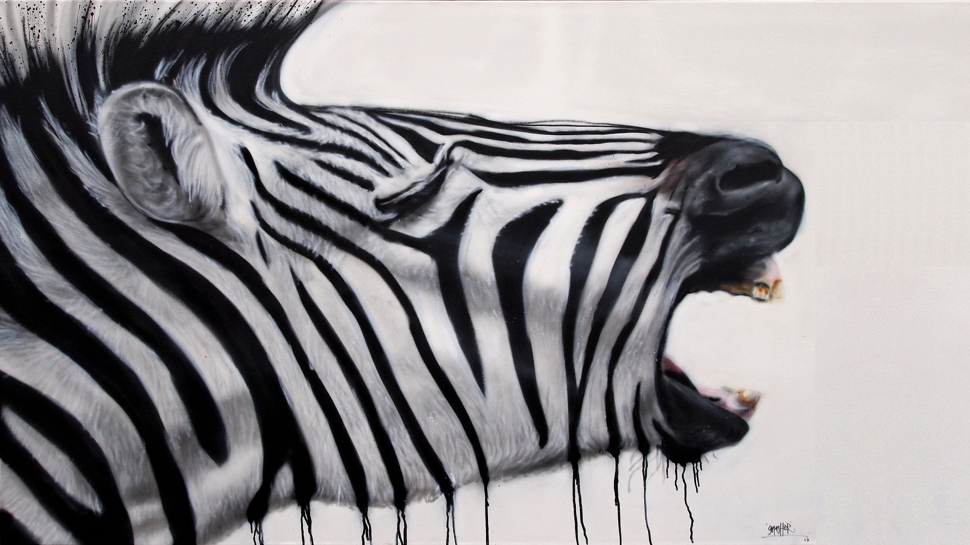 write, Out, Paint,  , Zebra Wallpaper