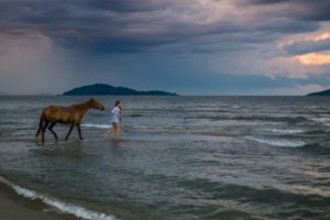 horse, Woman, Sea, Island