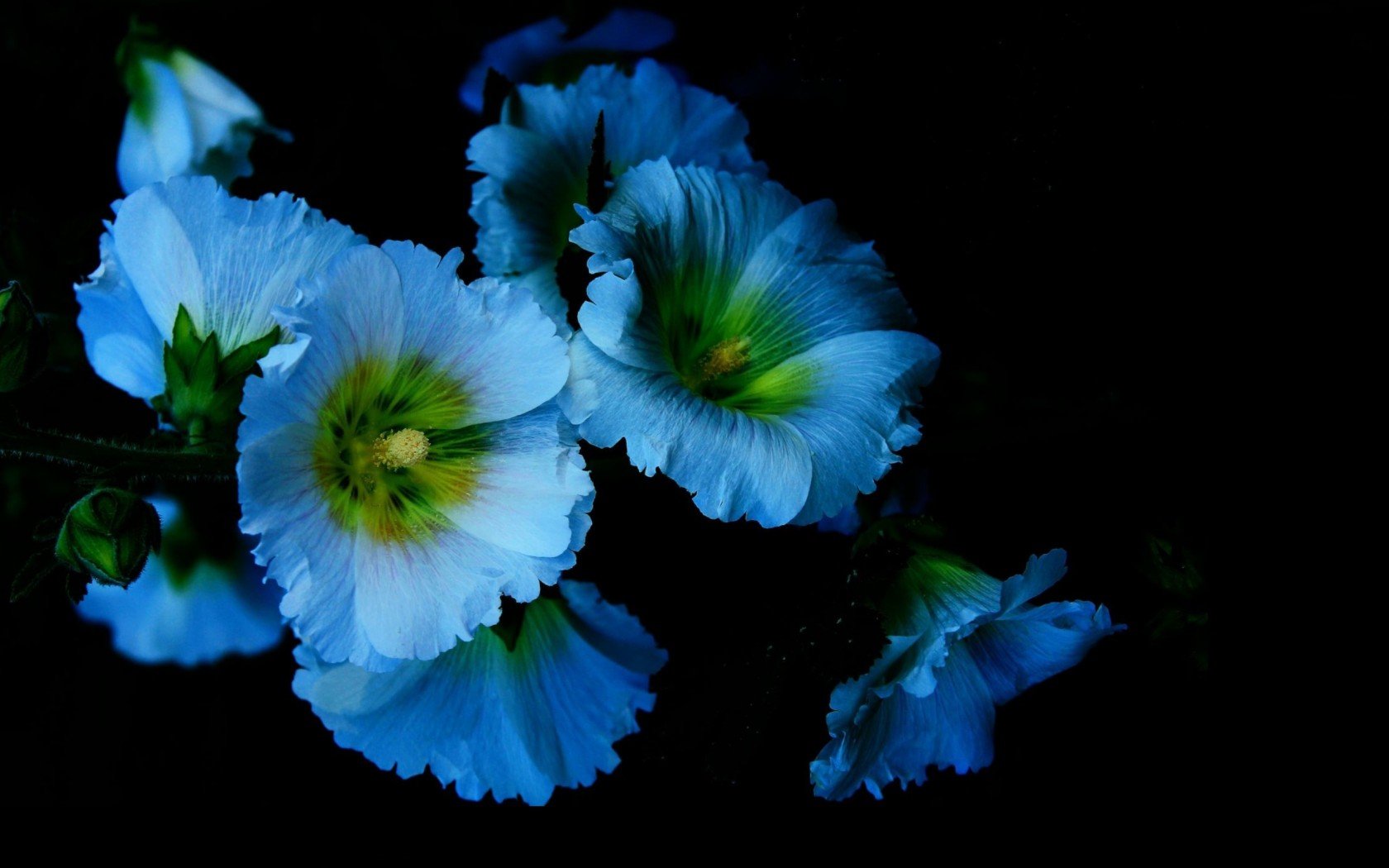 615441 Wallpaper