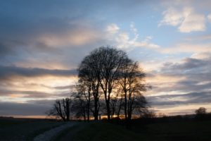 avebury, Wiltshire, At, Sunset, In, February