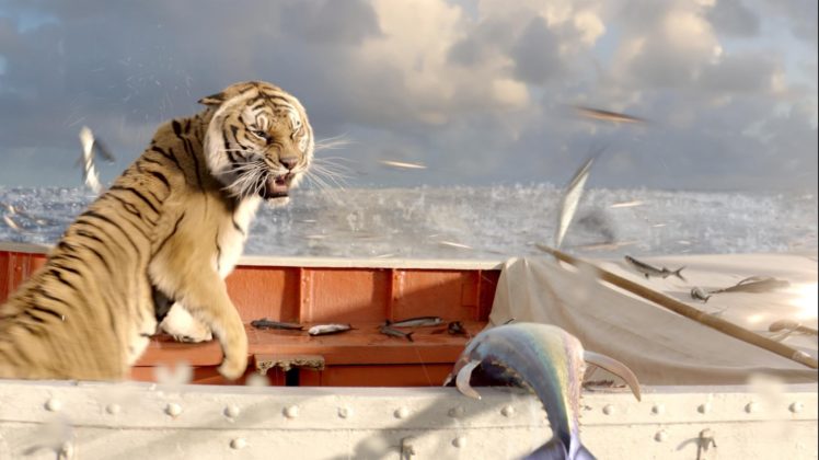 life, Of, Pi, Family, Adventure, Drama, Fantasy, Tiger, 3 d, Animation, 1lifepi, Friend, Shipwreck, Predator, Tiger, Ocean, Sea, Voyage, Ship, Boat HD Wallpaper Desktop Background