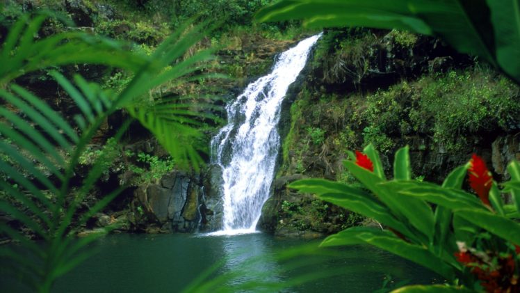 hawaii, Falls, Waterfalls, Oahu HD Wallpaper Desktop Background